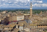 Siena: cosa vedere e fare, le migliori attrazioni ed esperienze